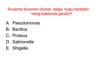 Sıvanma fenomeni (buhar, dalga, buğu hareketi)  hangi bakteride görülür? Pseudomonas Bacillus Proteus  Salmonella Shigella 