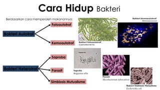 Power point biologi BAKTERI KELAS X sma .pptx