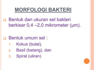 MORFOLOGI BAKTERI
 Bentuk dan ukuran sel bakteri
berkisar 0,4 –2,0 mikrometer (μm).
 Bentuk umum sel :
1. Kokus (bulat),
2. Basil (batang), dan
3. Spiral (uliran)
 