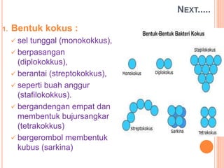 NEXT.....
1. Bentuk kokus :
 sel tunggal (monokokkus),
 berpasangan
(diplokokkus),
 berantai (streptokokkus),
 seperti buah anggur
(stafilokokkus).
 bergandengan empat dan
membentuk bujursangkar
(tetrakokkus)
 bergerombol membentuk
kubus (sarkina)
 