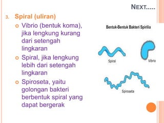 NEXT.....
3. Spiral (uliran)
 Vibrio (bentuk koma),
jika lengkung kurang
dari setengah
lingkaran
 Spiral, jika lengkung
lebih dari setengah
lingkaran
 Spiroseta, yaitu
golongan bakteri
berbentuk spiral yang
dapat bergerak
 