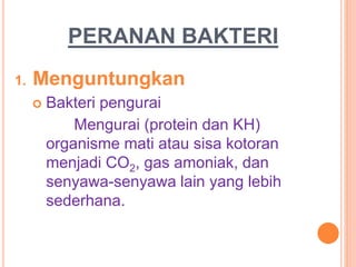 PERANAN BAKTERI
1. Menguntungkan
 Bakteri pengurai
Mengurai (protein dan KH)
organisme mati atau sisa kotoran
menjadi CO2, gas amoniak, dan
senyawa-senyawa lain yang lebih
sederhana.
 