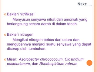  Bakteri nitrifikasi
Menyusun senyawa nitrat dari amoniak yang
berlangsung secara aerob di dalam tanah.
 Bakteri nitrogen
Mengikat nitrogen bebas dari udara dan
mengubahnya menjadi suatu senyawa yang dapat
diserap oleh tumbuhan.
 Misal: Azotobacter chroococcum, Clostridium
pasteurianum, dan Rhodospirillum rubrum
NEXT.....
 
