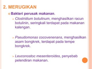 2. MERUGIKAN
 Bakteri perusak makanan.
 Clostridium botulinum, menghasilkan racun
botulinin, seringkali terdapat pada makanan
kalengan.
 Pseudomonas cocovenenans, menghasilkan
asam bongkrek, terdapat pada tempe
bongkrek.
 Leuconostoc mesenteroides, penyebab
pelendiran makanan.
 