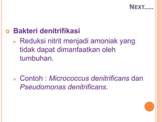  Bakteri denitrifikasi
 Reduksi nitrit menjadi amoniak yang
tidak dapat dimanfaatkan oleh
tumbuhan.
 Contoh : Micrococcus denitrificans dan
Pseudomonas denitrificans.
NEXT.....
 