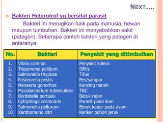  Bakteri Heterotrof yg bersifat parasit
Bakteri ini merugikan baik pada manusia, hewan
maupun tumbuhan. Bakteri ini menyebabkan sakit
(patogen). Beberapa contoh bakteri yang patogen di
antaranya:
NEXT.....
No. Bakteri Penyakit yang ditimbulkan
1.
2.
3.
4.
5.
6.
7.
8.
9.
10
Vibrio comma
Treponema palidum
Salmonella thyposa
Pasteurella pestis
Neisseria gonorhoe
Mycobacterium tuberculose
Bordetella pertusis
Cytophoga colimnaris
Salmonella pollurum
Xanthomono citri
Penyakit kolera
Sifilis
Tifus
Pes/sampar
Kencing nanah
TBC
Batuk rejan
Parasit pada ikan
Berak kapur pada ayam
Kanker pohon jeruk
 