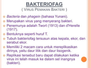 BAKTERIOFAG
( VIRUS PEMAKAN BAKTERI )
 Bacteria dan phagein (bahasa Yunani).
 Merupakan virus yang menyerang bakteri.
 Penemunya adalah Twort (1913) dan d'Herelle
(1917).
 Bentuknya seperti huruf T.
 Tubuh bakteriofag tersusun atas kepala, ekor, dan
serabut ekor.
 Memiliki 2 macam cara untuk mereplikasikan
dirinya, yaitu daur litik dan daur lisogenik.
 Replikasi tersebut baru dapat dilakukan ketika
virus ini telah masuk ke dalam sel inangnya
(bakteri).
 