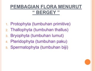 PEMBAGIAN FLORA MENURUT
“ BERGEY ”
1. Protophyta (tumbuhan primitive)
2. Thallophyta (tumbuhan thallus)
3. Bryophyta (tumbuhan lumut)
4. Pteridophyta (tumbuhan paku)
5. Spermatophyta (tumbuhan biji)
 