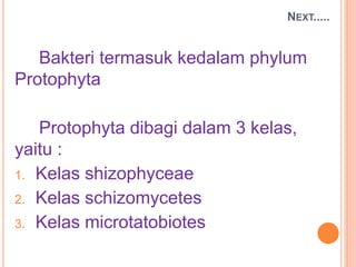 NEXT.....
Bakteri termasuk kedalam phylum
Protophyta
Protophyta dibagi dalam 3 kelas,
yaitu :
1. Kelas shizophyceae
2. Kelas schizomycetes
3. Kelas microtatobiotes
 
