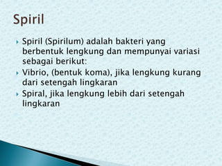 





Spiril (Spirilum) adalah bakteri yang
berbentuk lengkung dan mempunyai variasi
sebagai berikut:
Vibrio, (bentuk koma), jika lengkung kurang
dari setengah lingkaran
Spiral, jika lengkung lebih dari setengah
lingkaran

 