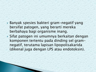 



Banyak spesies bakteri gram-negatif yang
bersifat patogen, yang berarti mereka
berbahaya bagi organisme inang.
Sifat patogen ini umumnya berkaitan dengan
komponen tertentu pada dinding sel gramnegatif, terutama lapisan lipopolisakarida
(dikenal juga dengan LPS atau endotoksin).

 