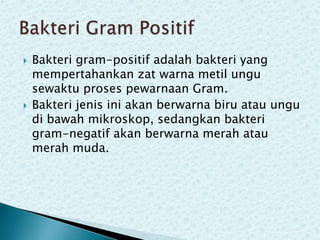 



Bakteri gram-positif adalah bakteri yang
mempertahankan zat warna metil ungu
sewaktu proses pewarnaan Gram.
Bakteri jenis ini akan berwarna biru atau ungu
di bawah mikroskop, sedangkan bakteri
gram-negatif akan berwarna merah atau
merah muda.

 