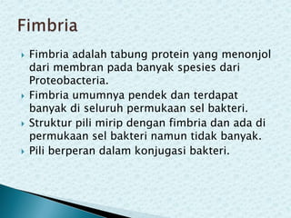 







Fimbria adalah tabung protein yang menonjol
dari membran pada banyak spesies dari
Proteobacteria.
Fimbria umumnya pendek dan terdapat
banyak di seluruh permukaan sel bakteri.
Struktur pili mirip dengan fimbria dan ada di
permukaan sel bakteri namun tidak banyak.
Pili berperan dalam konjugasi bakteri.

 