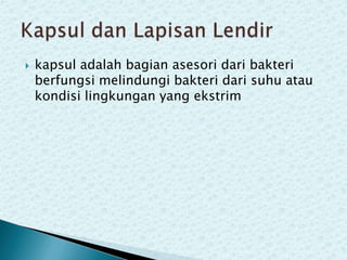 

kapsul adalah bagian asesori dari bakteri
berfungsi melindungi bakteri dari suhu atau
kondisi lingkungan yang ekstrim

 