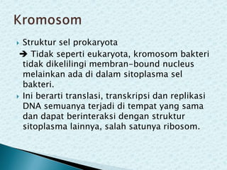 Struktur sel prokaryota
 Tidak seperti eukaryota, kromosom bakteri
tidak dikelilingi membran-bound nucleus
melainkan ada di dalam sitoplasma sel
bakteri.
 Ini berarti translasi, transkripsi dan replikasi
DNA semuanya terjadi di tempat yang sama
dan dapat berinteraksi dengan struktur
sitoplasma lainnya, salah satunya ribosom.


 