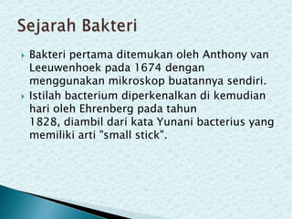 



Bakteri pertama ditemukan oleh Anthony van
Leeuwenhoek pada 1674 dengan
menggunakan mikroskop buatannya sendiri.
Istilah bacterium diperkenalkan di kemudian
hari oleh Ehrenberg pada tahun
1828, diambil dari kata Yunani bacterius yang
memiliki arti "small stick".

 