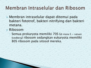 



Membran intraselular dapat ditemui pada
bakteri fototrof, bakteri nitrifying dan bakteri
metana.
Ribosom
◦ Semua prokaryota memiliki 70S (di mana S = satuan
Svedberg) ribosom sedangkan eukaryota memiliki
80S ribosom pada sitosol mereka.

 