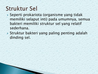 



Seperti prokariota (organisme yang tidak
memiliki selaput inti) pada umumnya, semua
bakteri memiliki struktur sel yang relatif
sederhana.
Struktur bakteri yang paling penting adalah
dinding sel.

 