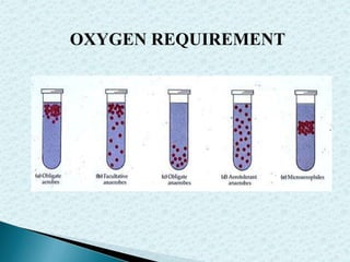 OXYGEN REQUIREMENT

 