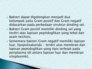 





Bakteri dapat digolongkan menjadi dua
kelompok yaitu Gram positif dan Gram negatif
didasarkan pada perbedaan struktur dinding sel.
Bakteri Gram positif memiliki dinding sel yang
terdiri atas lapisan peptidoglikan yang tebal dan
asam teichoic.
Sementara bakteri Gram negatif memiliki lapisan
luar, lipopolisakarida - terdiri atas membran dan
lapisan peptidoglikan yang tipis terletak pada
periplasma (di antara lapisan luar dan membran
sitoplasmik).

 