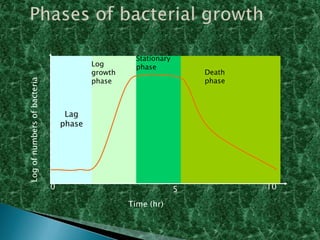 Log of numbers of bacteria

Log
growth
phase

Stationary
phase

Death
phase

Lag
phase

0

5
Time (hr)

10

 