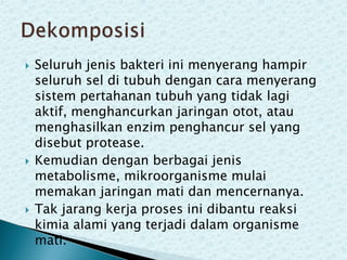 





Seluruh jenis bakteri ini menyerang hampir
seluruh sel di tubuh dengan cara menyerang
sistem pertahanan tubuh yang tidak lagi
aktif, menghancurkan jaringan otot, atau
menghasilkan enzim penghancur sel yang
disebut protease.
Kemudian dengan berbagai jenis
metabolisme, mikroorganisme mulai
memakan jaringan mati dan mencernanya.
Tak jarang kerja proses ini dibantu reaksi
kimia alami yang terjadi dalam organisme
mati.

 