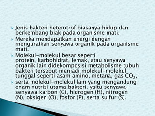 







Jenis bakteri heterotrof biasanya hidup dan
berkembang biak pada organisme mati.
Mereka mendapatkan energi dengan
menguraikan senyawa organik pada organisme
mati.
Molekul-molekul besar seperti
protein, karbohidrat, lemak, atau senyawa
organik lain didekomposisi metabolisme tubuh
bakteri tersebut menjadi molekul-molekul
tunggal seperti asam amino, metana, gas CO2,
serta molekul-molekul lain yang mengandung
enam nutrisi utama bakteri, yaitu senyawasenyawa karbon (C), hidrogen (H), nitrogen
(N), oksigen (O), fosfor (P), serta sulfur (S).

 