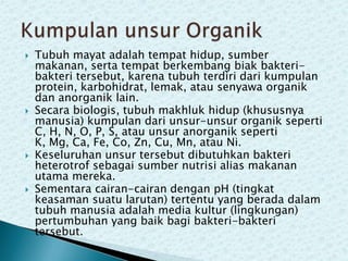 







Tubuh mayat adalah tempat hidup, sumber
makanan, serta tempat berkembang biak bakteribakteri tersebut, karena tubuh terdiri dari kumpulan
protein, karbohidrat, lemak, atau senyawa organik
dan anorganik lain.
Secara biologis, tubuh makhluk hidup (khususnya
manusia) kumpulan dari unsur-unsur organik seperti
C, H, N, O, P, S, atau unsur anorganik seperti
K, Mg, Ca, Fe, Co, Zn, Cu, Mn, atau Ni.
Keseluruhan unsur tersebut dibutuhkan bakteri
heterotrof sebagai sumber nutrisi alias makanan
utama mereka.
Sementara cairan-cairan dengan pH (tingkat
keasaman suatu larutan) tertentu yang berada dalam
tubuh manusia adalah media kultur (lingkungan)
pertumbuhan yang baik bagi bakteri-bakteri
tersebut.

 