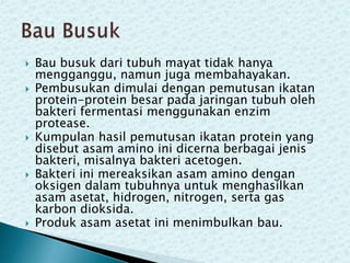 









Bau busuk dari tubuh mayat tidak hanya
mengganggu, namun juga membahayakan.
Pembusukan dimulai dengan pemutusan ikatan
protein-protein besar pada jaringan tubuh oleh
bakteri fermentasi menggunakan enzim
protease.
Kumpulan hasil pemutusan ikatan protein yang
disebut asam amino ini dicerna berbagai jenis
bakteri, misalnya bakteri acetogen.
Bakteri ini mereaksikan asam amino dengan
oksigen dalam tubuhnya untuk menghasilkan
asam asetat, hidrogen, nitrogen, serta gas
karbon dioksida.
Produk asam asetat ini menimbulkan bau.

 