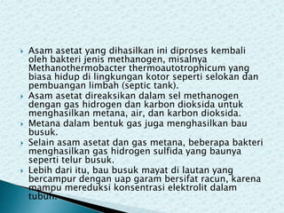 








Asam asetat yang dihasilkan ini diproses kembali
oleh bakteri jenis methanogen, misalnya
Methanothermobacter thermoautotrophicum yang
biasa hidup di lingkungan kotor seperti selokan dan
pembuangan limbah (septic tank).
Asam asetat direaksikan dalam sel methanogen
dengan gas hidrogen dan karbon dioksida untuk
menghasilkan metana, air, dan karbon dioksida.
Metana dalam bentuk gas juga menghasilkan bau
busuk.
Selain asam asetat dan gas metana, beberapa bakteri
menghasilkan gas hidrogen sulfida yang baunya
seperti telur busuk.
Lebih dari itu, bau busuk mayat di lautan yang
bercampur dengan uap garam bersifat racun, karena
mampu mereduksi konsentrasi elektrolit dalam
tubuh.

 