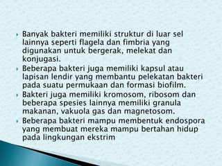 







Banyak bakteri memiliki struktur di luar sel
lainnya seperti flagela dan fimbria yang
digunakan untuk bergerak, melekat dan
konjugasi.
Beberapa bakteri juga memiliki kapsul atau
lapisan lendir yang membantu pelekatan bakteri
pada suatu permukaan dan formasi biofilm.
Bakteri juga memiliki kromosom, ribosom dan
beberapa spesies lainnya memiliki granula
makanan, vakuola gas dan magnetosom.
Beberapa bakteri mampu membentuk endospora
yang membuat mereka mampu bertahan hidup
pada lingkungan ekstrim

 