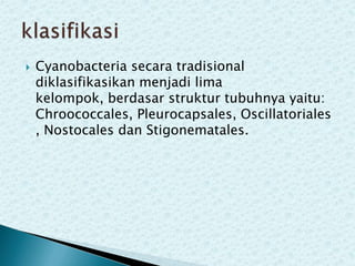 

Cyanobacteria secara tradisional
diklasifikasikan menjadi lima
kelompok, berdasar struktur tubuhnya yaitu:
Chroococcales, Pleurocapsales, Oscillatoriales
, Nostocales dan Stigonematales.

 