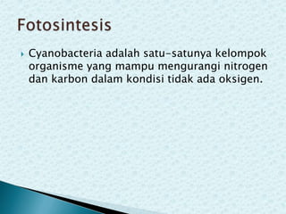 

Cyanobacteria adalah satu-satunya kelompok
organisme yang mampu mengurangi nitrogen
dan karbon dalam kondisi tidak ada oksigen.

 