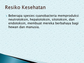 

Beberapa spesies cyanobacteria memproduksi
neutrotoksin, hepatotoksin, sitotoksin, dan
endotoksin, membuat mereka berbahaya bagi
hewan dan manusia.

 