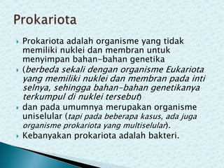 







Prokariota adalah organisme yang tidak
memiliki nuklei dan membran untuk
menyimpan bahan-bahan genetika
(berbeda sekali dengan organisme Eukariota

yang memiliki nuklei dan membran pada inti
selnya, sehingga bahan-bahan genetikanya
terkumpul di nuklei tersebut)
dan pada umumnya merupakan organisme
uniselular (tapi pada beberapa kasus, ada juga
organisme prokariota yang multiselular).
Kebanyakan prokariota adalah bakteri.

 