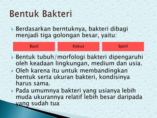 

Berdasarkan berntuknya, bakteri dibagi
menjadi tiga golongan besar, yaitu:
Basil






Kokus

Spiril

Bentuk tubuh/morfologi bakteri dipengaruhi
oleh keadaan lingkungan, medium dan usia.
Oleh karena itu untuk membandingkan
bentuk serta ukuran bakteri, kondisinya
harus sama.
Pada umumnya bakteri yang usianya lebih
muda ukurannya relatif lebih besar daripada
yang sudah tua

 