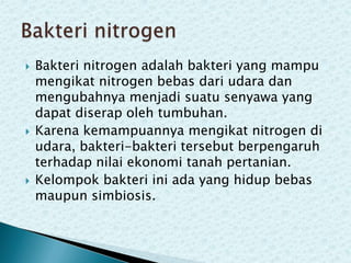 





Bakteri nitrogen adalah bakteri yang mampu
mengikat nitrogen bebas dari udara dan
mengubahnya menjadi suatu senyawa yang
dapat diserap oleh tumbuhan.
Karena kemampuannya mengikat nitrogen di
udara, bakteri-bakteri tersebut berpengaruh
terhadap nilai ekonomi tanah pertanian.
Kelompok bakteri ini ada yang hidup bebas
maupun simbiosis.

 