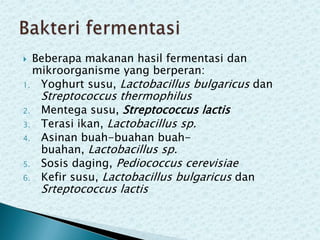 Beberapa makanan hasil fermentasi dan
mikroorganisme yang berperan:
1. Yoghurt susu, Lactobacillus bulgaricus dan


2.
3.

4.
5.
6.

Streptococcus thermophilus
Mentega susu, Streptococcus lactis
Terasi ikan, Lactobacillus sp.

Asinan buah-buahan buahbuahan, Lactobacillus sp.
Sosis daging, Pediococcus cerevisiae
Kefir susu, Lactobacillus bulgaricus dan

Srteptococcus lactis

 