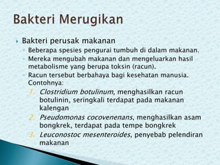 

Bakteri perusak makanan
◦ Beberapa spesies pengurai tumbuh di dalam makanan.
◦ Mereka mengubah makanan dan mengeluarkan hasil
metabolisme yang berupa toksin (racun).
◦ Racun tersebut berbahaya bagi kesehatan manusia.
Contohnya:
1. Clostridium botulinum, menghasilkan racun
botulinin, seringkali terdapat pada makanan
kalengan
2. Pseudomonas cocovenenans, menghasilkan asam
bongkrek, terdapat pada tempe bongkrek
3. Leuconostoc mesenteroides, penyebab pelendiran
makanan

 