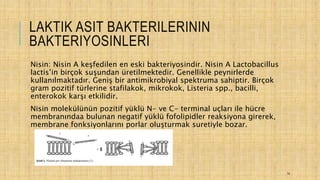 LAKTIK ASIT BAKTERILERININ
BAKTERIYOSINLERI
Nisin: Nisin A keşfedilen en eski bakteriyosindir. Nisin A Lactobacillus
lactis’in birçok suşundan üretilmektedir. Genellikle peynirlerde
kullanılmaktadır. Geniş bir antimikrobiyal spektruma sahiptir. Birçok
gram pozitif türlerine stafilakok, mikrokok, Listeria spp., bacilli,
enterokok karşı etkilidir.
Nisin molekülünün pozitif yüklü N- ve C- terminal uçları ile hücre
membranındaa bulunan negatif yüklü fofolipidler reaksiyona girerek,
membrane fonksiyonlarını porlar oluşturmak suretiyle bozar.
14
 