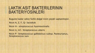 LAKTIK ASIT BAKTERILERININ
BAKTERIYOSINLERI
Bugune kadar sekiz farklı doğal nisin çeşidi saptanmıştır.
Nisin A, Z, F, Q- lactokok
Nisin H- streptococcus hyointestinalis
Nisin U, U2- Streptococcus uberis
Nisin P- Streptococcus gallolyticus subsp. Pasteurianus,
Streptococcus suis
15
 