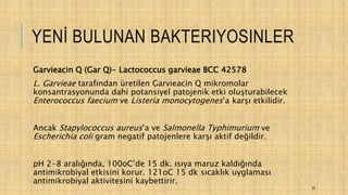 YENİ BULUNAN BAKTERIYOSINLER
Garvieacin Q (Gar Q)- Lactococcus garvieae BCC 42578
L. Garvieae tarafından üretilen Garvieacin Q mikromolar
konsantrasyonunda dahi potansiyel patojenik etki oluşturabilecek
Enterococcus faecium ve Listeria monocytogenes’a karşı etkilidir.
Ancak Stapylococcus aureus’a ve Salmonella Typhimurium ve
Escherichia coli gram negatif patojenlere karşı aktif değildir.
pH 2-8 aralığında, 100oC’de 15 dk. ısıya maruz kaldığında
antimikrobiyal etkisini korur. 121oC 15 dk sıcaklık uyglaması
antimikrobiyal aktivitesini kaybettirir.
20
 