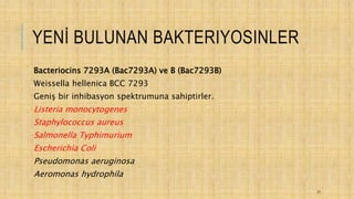 YENİ BULUNAN BAKTERIYOSINLER
Bacteriocins 7293A (Bac7293A) ve B (Bac7293B)
Weissella hellenica BCC 7293
Geniş bir inhibasyon spektrumuna sahiptirler.
Listeria monocytogenes
Staphylococcus aureus
Salmonella Typhimurium
Escherichia Coli
Pseudomonas aeruginosa
Aeromonas hydrophila
21
 