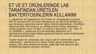 ET VE ET ÜRÜNLERİNDE LAB
TARAFINDAN ÜRETİLEN
BAKTERİYOSİNLERİN KULLANIMI
L. plantarum 423 (plantaricin 423 üretir) ve Lactobacillus curvatus
DF126 (curvacin DF126 üretir) Micrococcus sp. MC50 ile birlikte ayrı
ayrı devekuşu salamında starter kültür olarak kullanılmıştır. Ürettikleri
bakteriyosinler Micrococcus sp. inhibasyonuna sebep olmamıştır. L.
monocytogenes sayısı 107den 104 kob/g’a düşmüştür. (16-18oC, 9
h). Özellikle L. plantarum 423 pH düştükçe plantarcin 423
aktivitesinin artmasından dolayı potansiyel önemli starter kültürlerden
biri olarak belirtilmiştir.
Yapılan başka bir çalışmada sığır, koyun gibi et türlerinden yapılan
salamlarda L. plantarum 423 starter kültür olarak kullanılmış ve
aroma, renk, yapı, ekşimsi et lezzeti, yağlı ağız tadı oluşumu gibi
özelliklerde başarılı sonuçlar vermiştir.
28
 