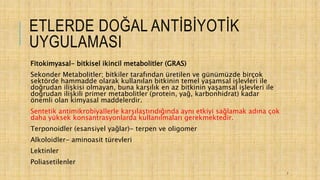 ETLERDE DOĞAL ANTİBİYOTİK
UYGULAMASI
Fitokimyasal- bitkisel ikincil metabolitler (GRAS)
Sekonder Metabolitler; bitkiler tarafından üretilen ve günümüzde birçok
sektörde hammadde olarak kullanılan bitkinin temel yaşamsal işlevleri ile
doğrudan ilişkisi olmayan, buna karşılık en az bitkinin yaşamsal işlevleri ile
doğrudan ilişkili primer metabolitler (protein, yağ, karbonhidrat) kadar
önemli olan kimyasal maddelerdir.
Sentetik antimikrobiyallerle karşılaştırıdığında aynı etkiyi sağlamak adına çok
daha yüksek konsantrasyonlarda kullanılmaları gerekmektedir.
Terponoidler (esansiyel yağlar)- terpen ve oligomer
Alkoloidler- aminoasit türevleri
Lektinler
Poliasetilenler
7
 