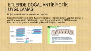 ETLERDE DOĞAL ANTİBİYOTİK
UYGULAMASI
Doğal antimikrobiyal protein ve peptitler
Lisozim: Bakterinin hücre duvarını parçalar. Peptidoglikan, yapısal olarak N-
Asetil glukoz amin (NAG) and N-asetil muramik asitten (NAM) oluşur.
Lisozim bu iki grup arasındaki glikosidik bağları parçalar.
9
 
