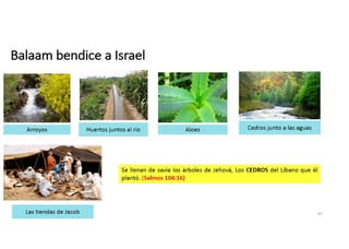 Balaam bendice a Israel