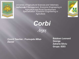 University of Agricultural Sciences and Veterinary
MedFiaccinueltyof Management, Economic Engineering in
Agriculture and Rural Development
Specialization: Economic Engineering in
Agriculture
Corbi
Argeș
Balaban Leonard
George
Zaharia Silviu
Grupa: 8203
Coord Teacher.: Frumușelu Mihai-
Daniel
 