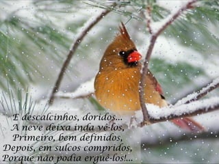 E descalcinhos, doridos...  A neve deixa inda vê-los,  Primeiro, bem definidos,  Depois, em sulcos compridos,  Porque não podia erguê-los!...  