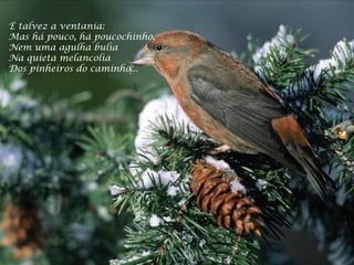 É talvez a ventania:  Mas há pouco, há poucochinho,  Nem uma agulha bulia  Na quieta melancolia  Dos pinheiros do caminho...  